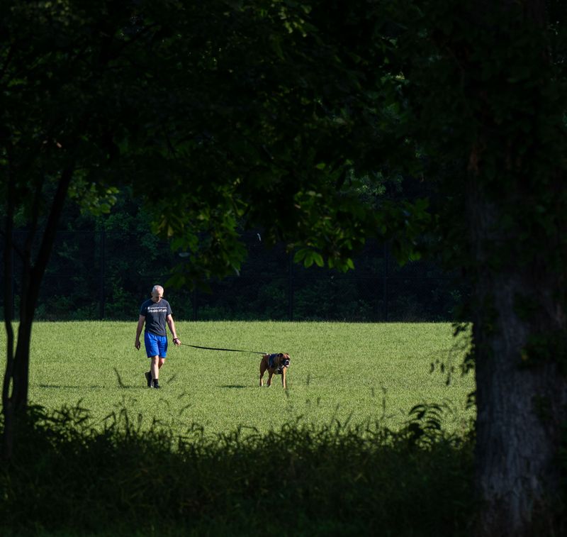 Off-Leash Roaming Is Off the Table