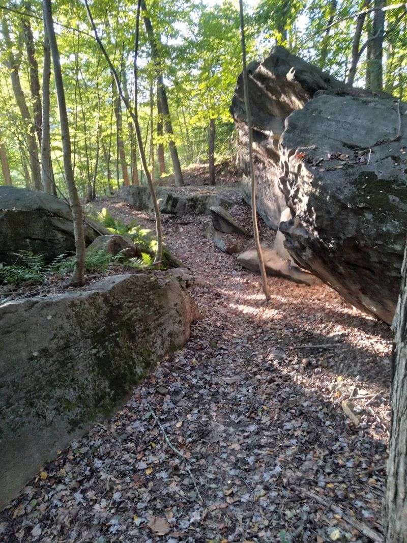 Roaring Run Trail