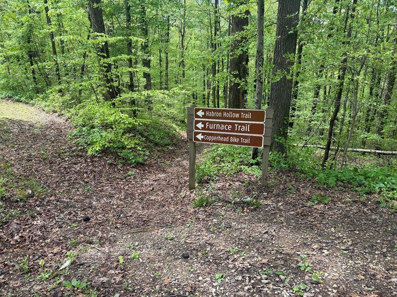 Lake Hope State Park Campground