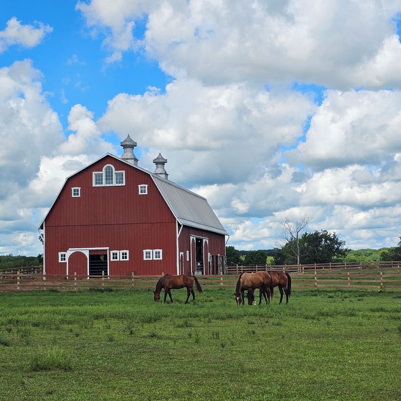 Prophetstown State Park: Prairie with Room to Roam