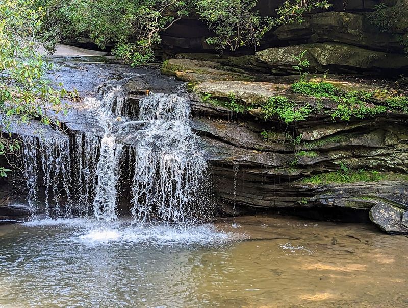 Battlefield Trail to Horseshoe Falls