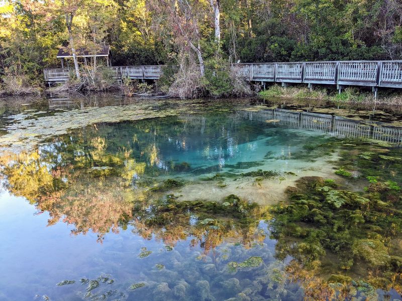 Magnolia Springs State Park, Millen