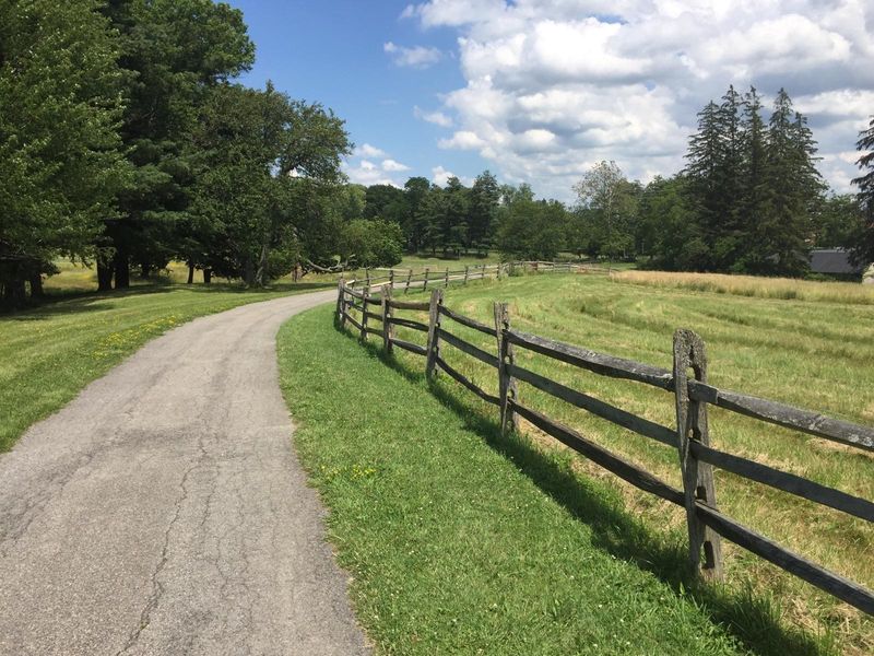 Knox Farm State Park, East Aurora: Horse Country Turned Dog Haven