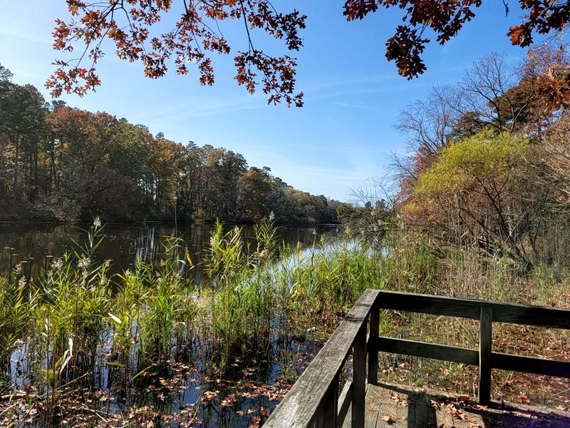Parvin State Park: Make a Lake Loop