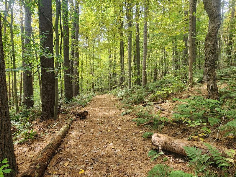 Mohican State Park, Loudonville