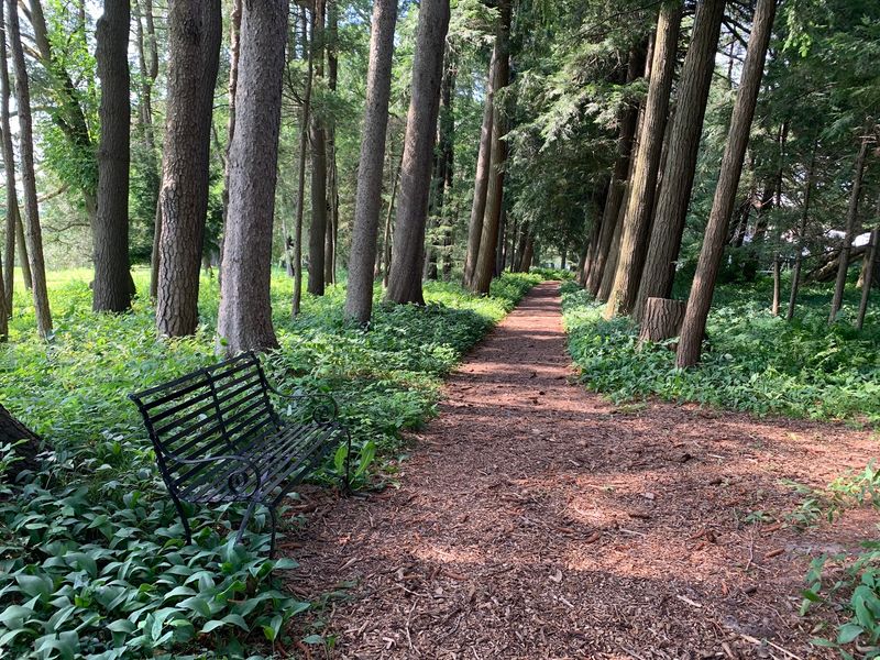 Lorenzo State Historic Site, Cazenovia: Gardens and Tree-Lined Trails