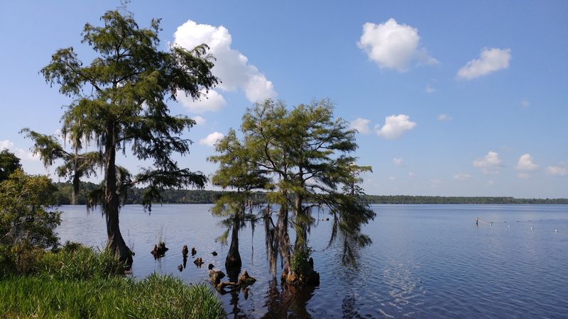 Singletary Lake State Park, Kelly