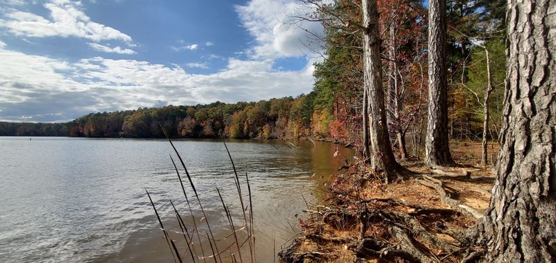 Falls Lake State Recreation Area, Wake Forest