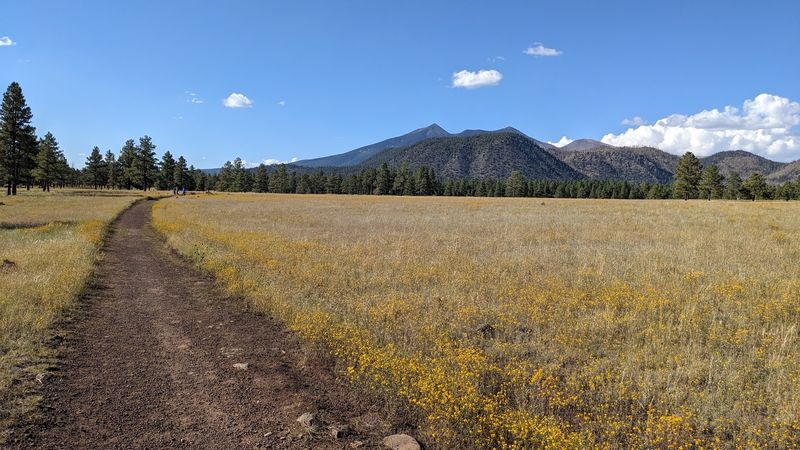 Buffalo Park Loop