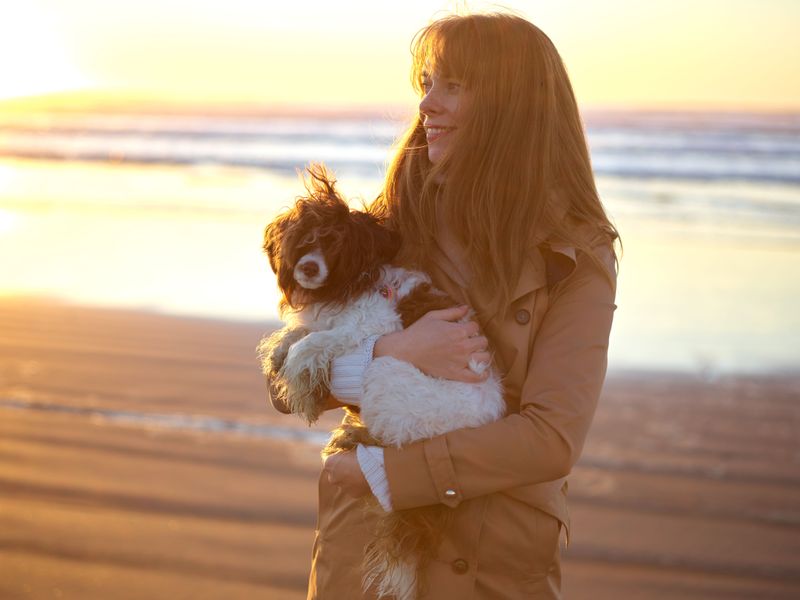 Give Dogs A Warm Break After Swimming