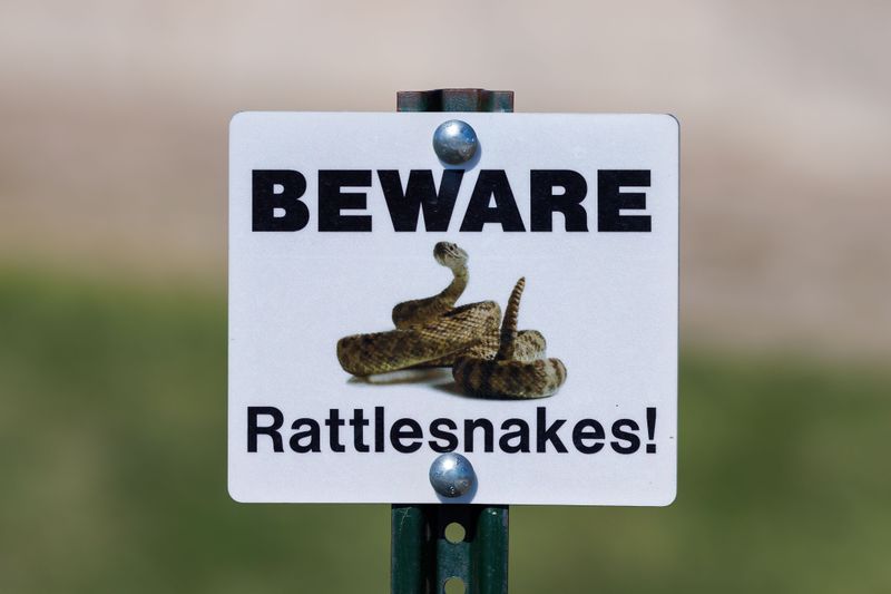 Watch For Rattlesnakes