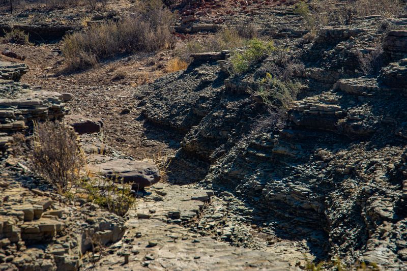 Give Rocky Crevices And Brush A Wide Berth