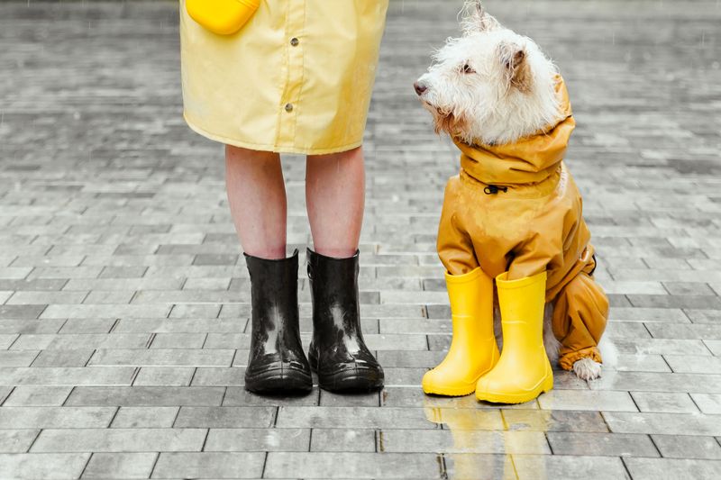 Recheck the Plan Before Storm Season