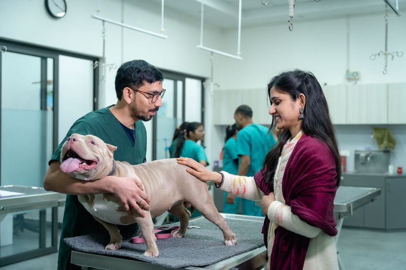 Have a Plan if Your Dog Gets Sick