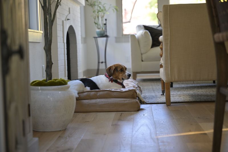Use Furniture Placement to Create Wide Walking Paths