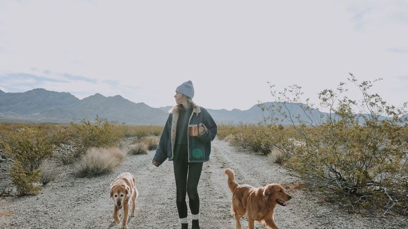 Make a Snake Encounter Plan Before Hiking