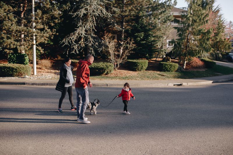Rehearse Your Plan With Your Dog