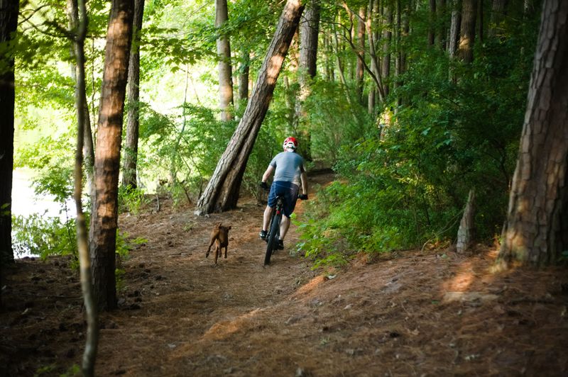 Know Where Motorized Recreation May Be Present
