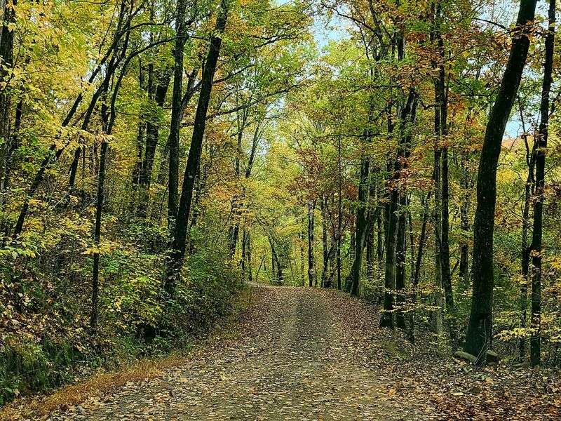 Watch for Steep Ozark Terrain