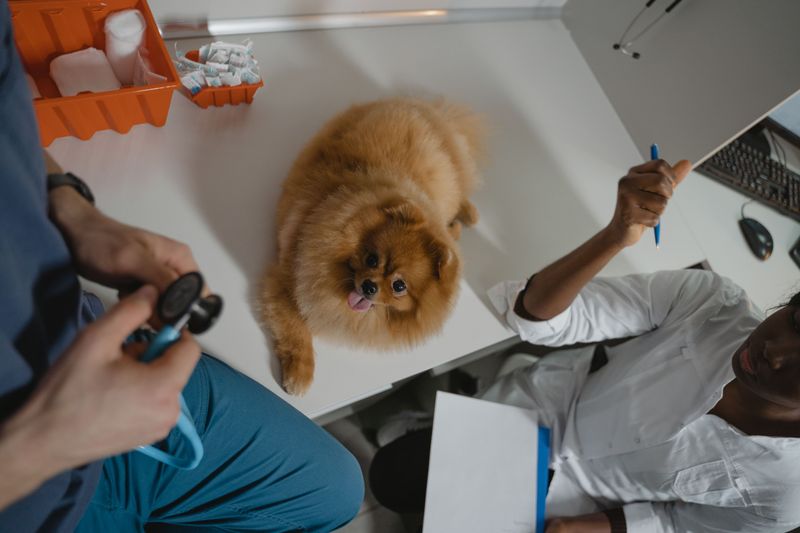 Check Whether Follow-Up Visits Are Needed