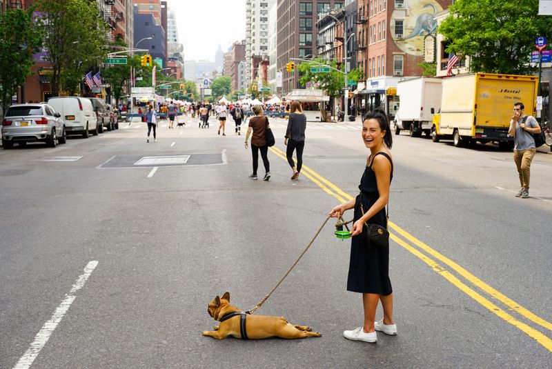 Give Your Dog a Bathroom Break First