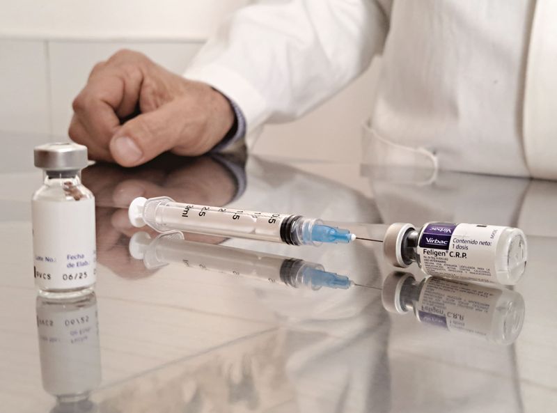 Check Your New County's Rabies Rules