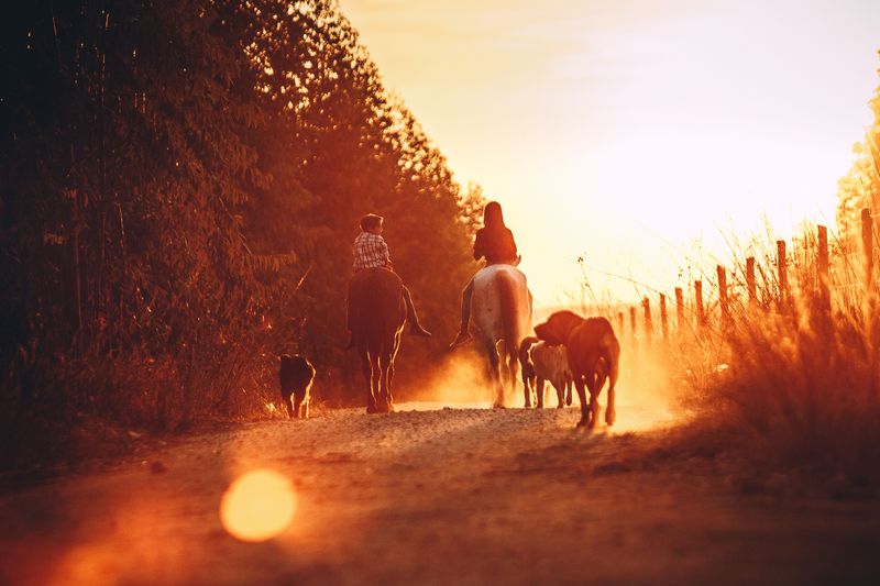 Give Horses and Other Trail Users Space