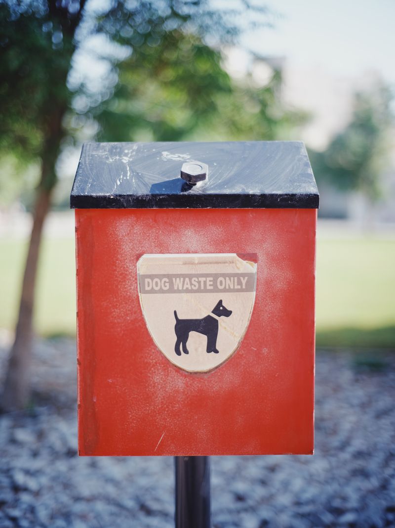 Waste Cleanup Is A Rule, Not A Suggestion