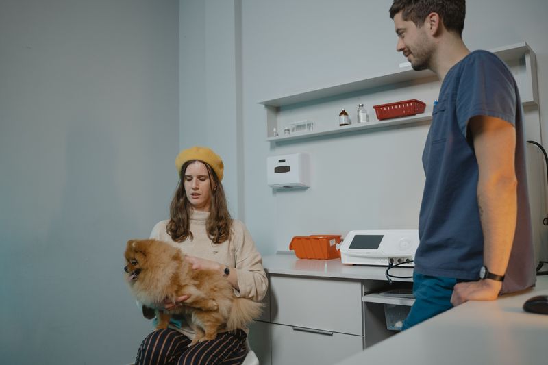 Contact A Veterinarian Without Waiting For Symptoms