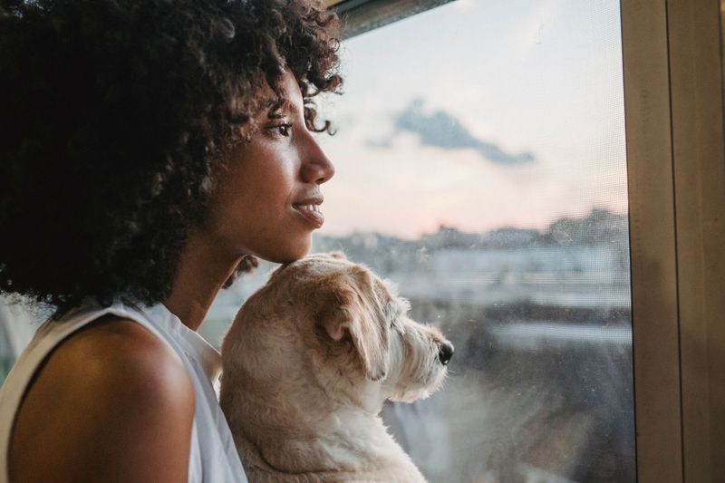 Plan Around Your Dog’s Comfort