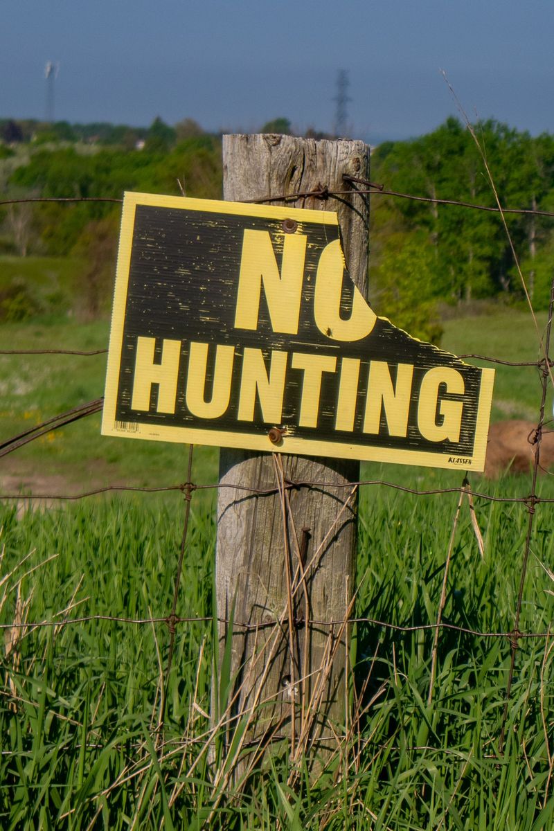 Steer Clear Of Special Designated Hunts