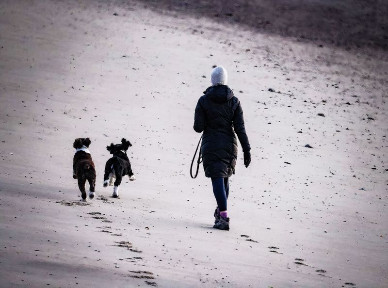 Look For Off-Season Dog Access