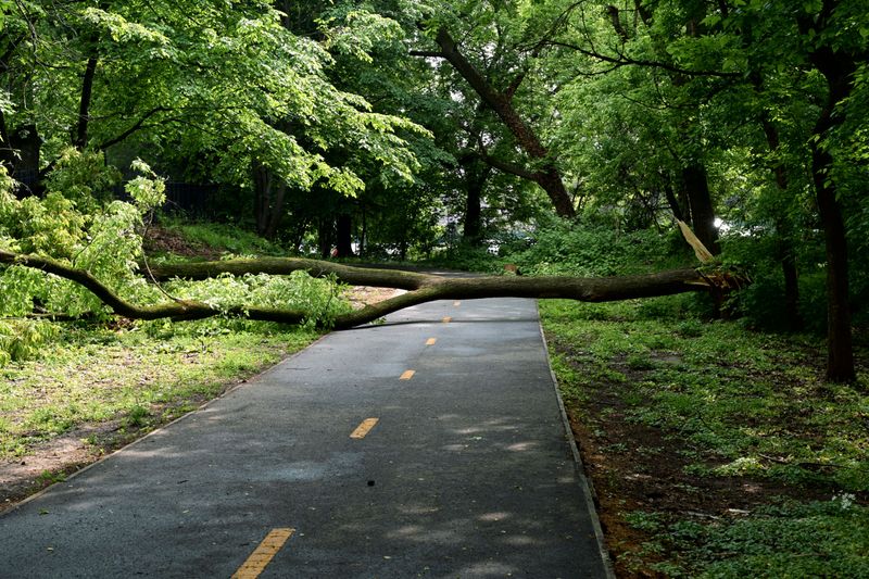 Keep An Eye On Conditions After Storms