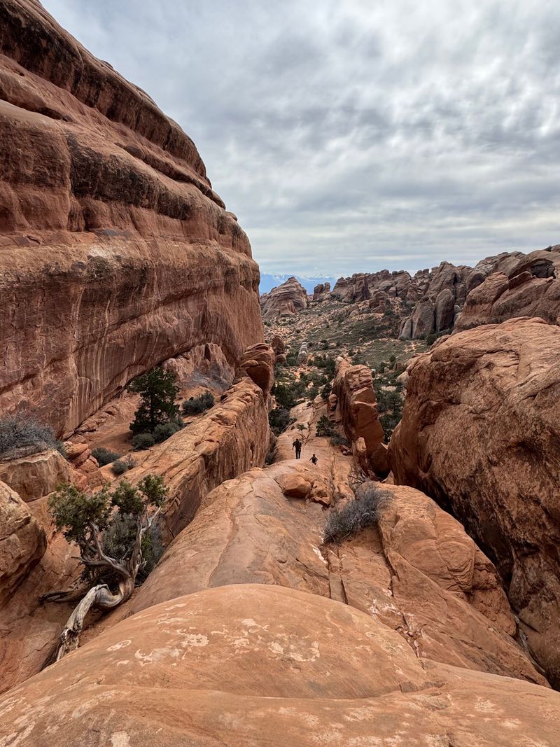 Watch Warm, Rocky Trails