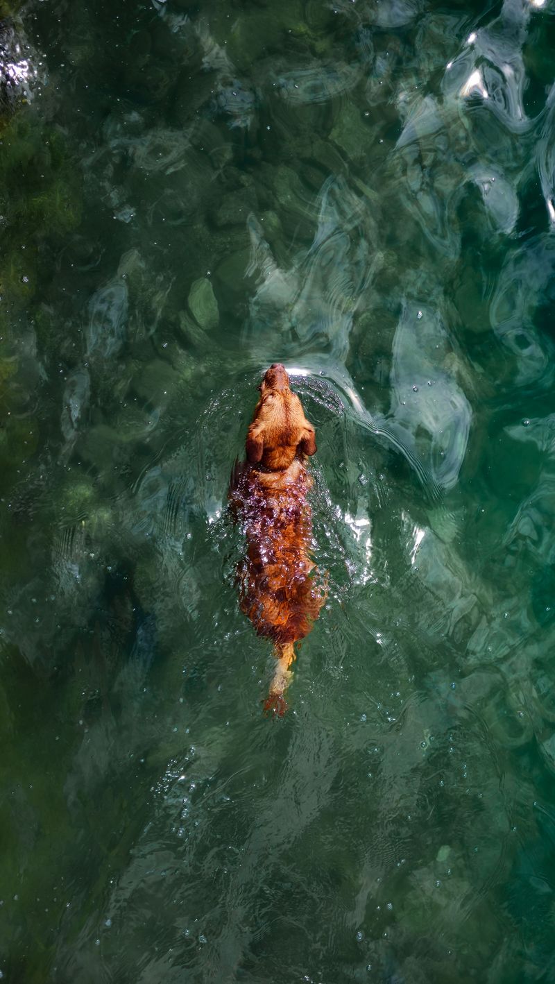 Do Not Rely on Clear-Looking Water
