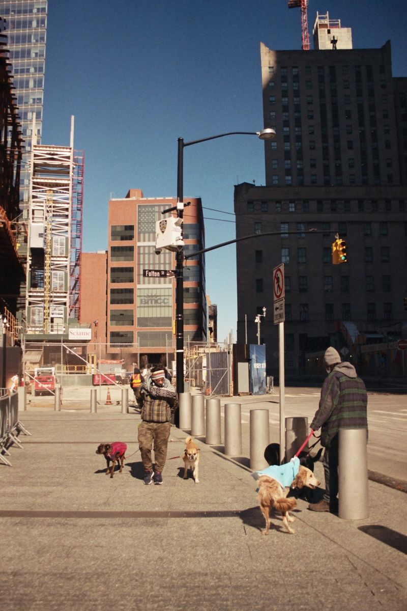 City Nerves Are A Real Consideration