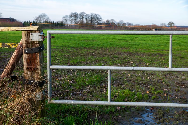 Explain Every Gate And Fence
