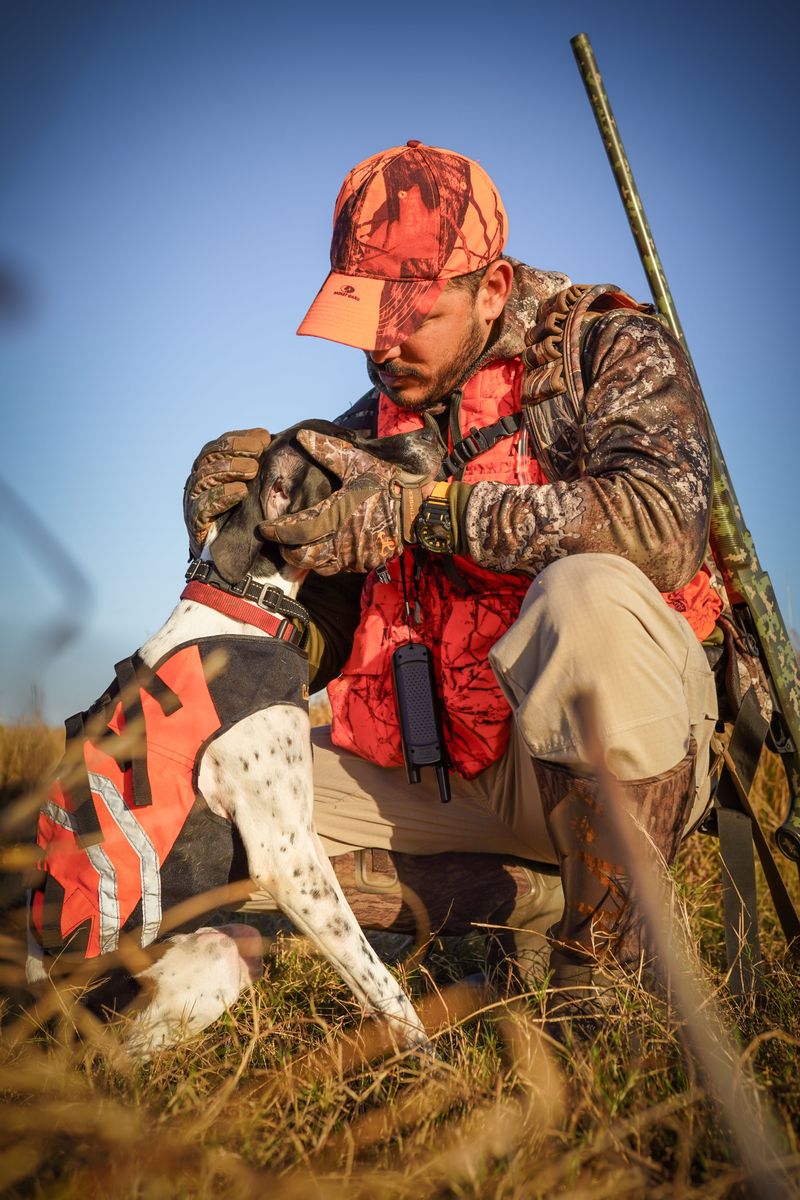 Brush Up on Dog Training Rules
