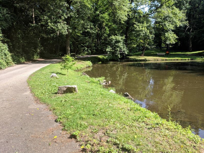 Curtis Arboretum, Wyncote