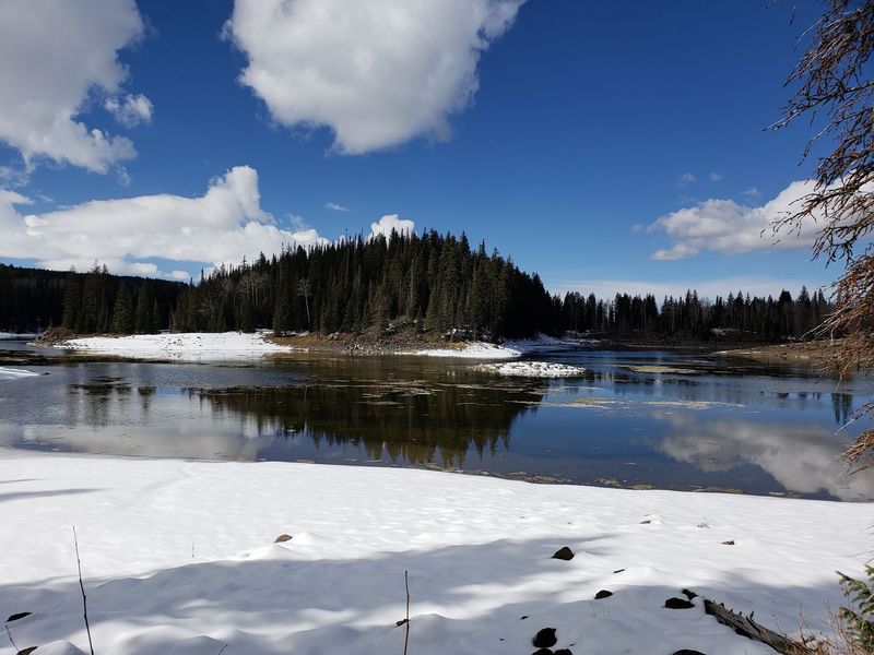 Glacier Springs Picnic Area on the Grand Mesa