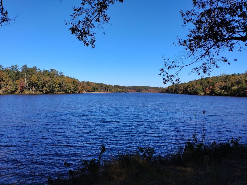 Payne Lake Recreation Area, Talladega National Forest
