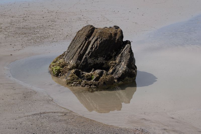 Tide Pools Need Extra Attention