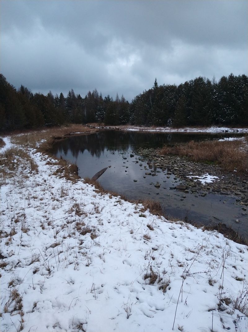 Three Springs Nature Preserve