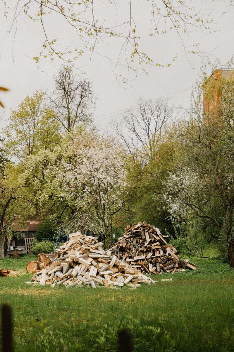 Check Your Yard For Snake-Friendly Hiding Spots