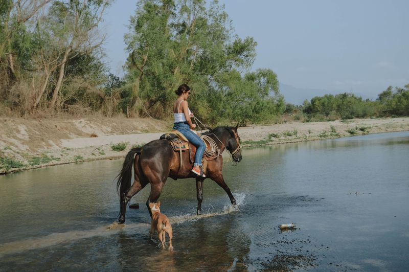 Horses and Riders Need Quiet Space