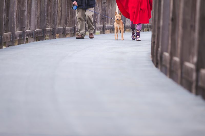 Navigating Narrow Paths Politely