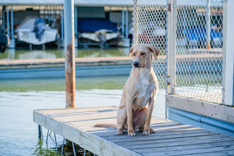 Responding Before Reaching The Boat Dock