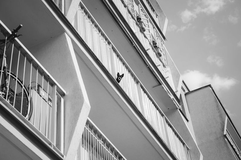 Review Your HOA or Condo Rulebook