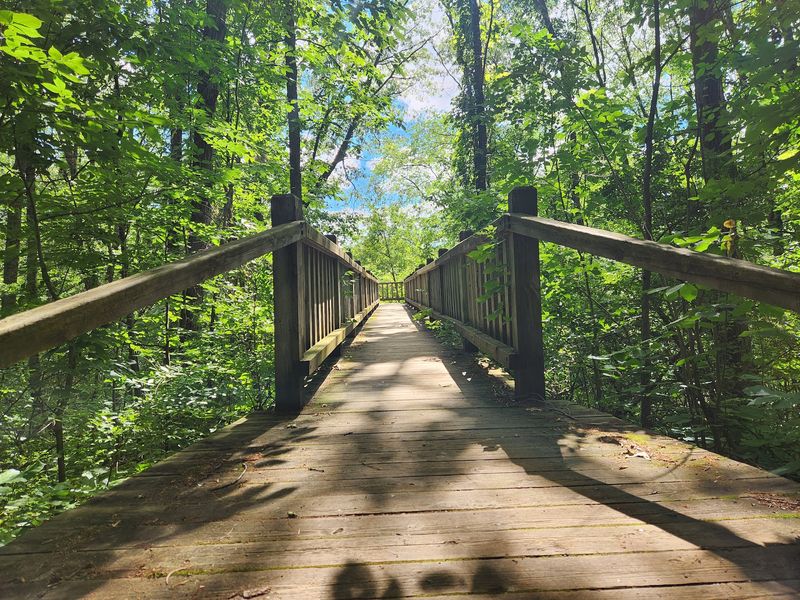 Pokagon State Park: Lakeside Trails and Woodland Shade