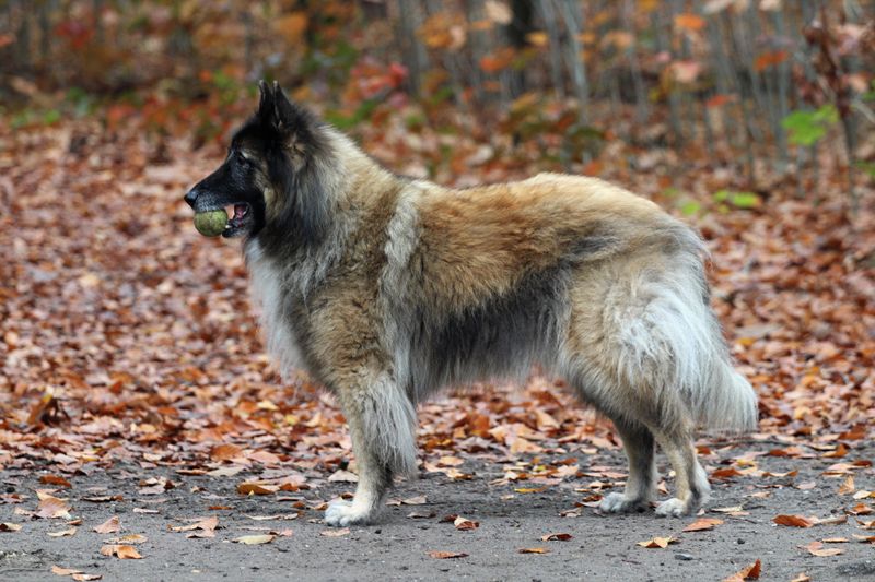 Stay Alert During Trapping Season
